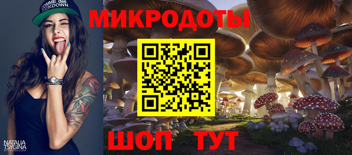 Малгобек  Псилоцибиновые грибы Psilocybe  цена наркотик  Вход с VPN 