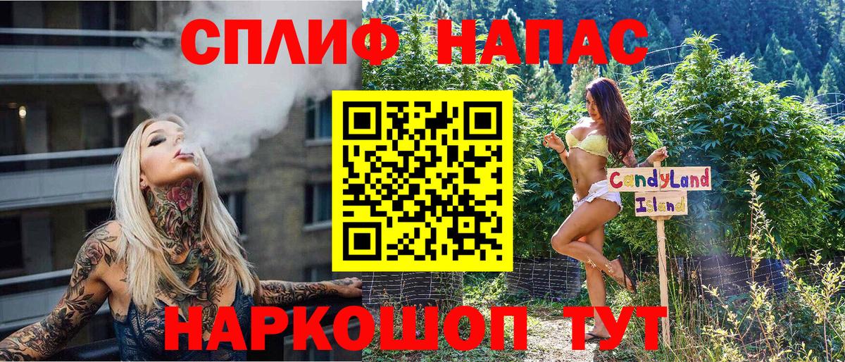 Бошки Шишки план Малгобек